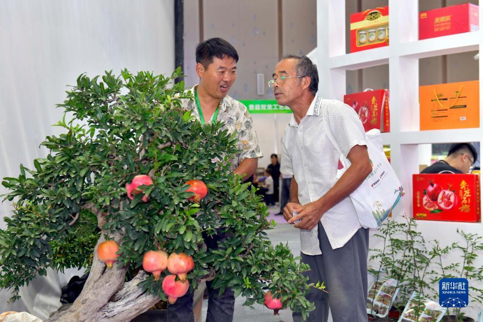 大宝娱乐游戏